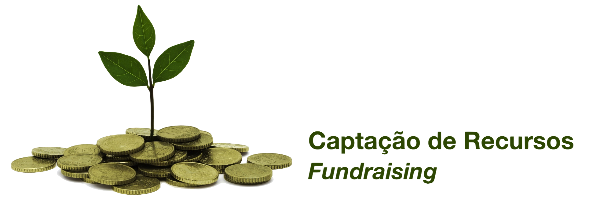 logo fundraising